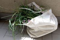 sacchetto di tela per raccogliere l'erba