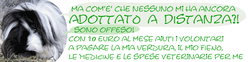 ADOTTAMI A DISTANZA!